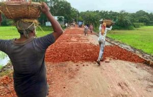 Brahmanbaria Bijoynagar pic 6